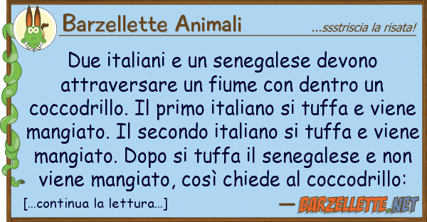 Barzellette Animali due italiani senegalese devono attr