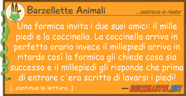 Barzellette Animali formica invita due amici: