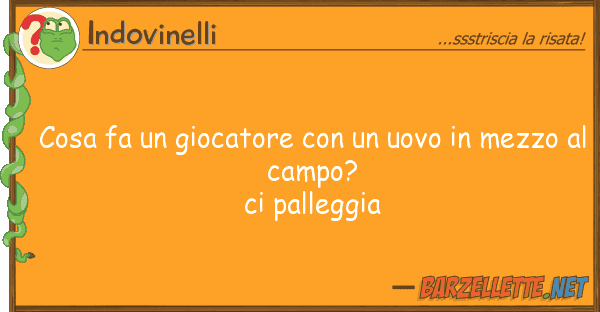 Indovinelli cosa fa giocatore uovo mezz