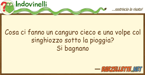 Indovinelli cosa fanno canguro cieco vol