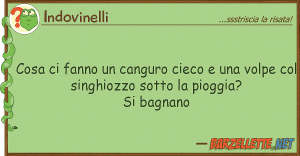Indovinelli cosa fanno canguro cieco vol