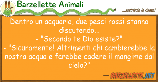 Barzellette Animali dentro acquario, due pesci rossi stan