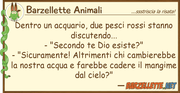 Barzellette Animali dentro acquario, due pesci rossi stan