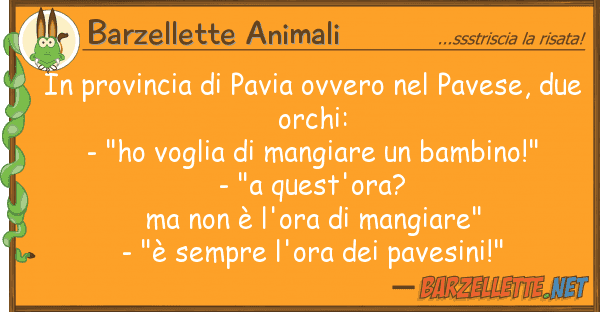 Barzellette Animali provincia pavia ovvero pavese,