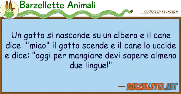 Barzellette Animali gatto nasconde albero