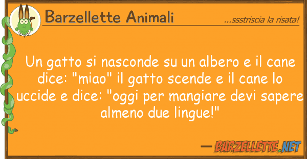 Barzellette Animali gatto nasconde albero