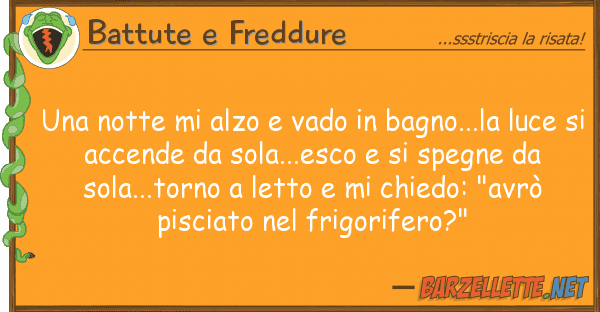 Battute e Freddure notte alzo vado bagno...la