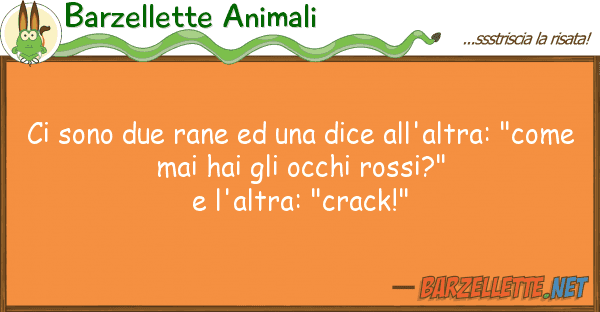 Barzellette Animali sono due rane dice all'altra: