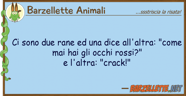 Barzellette Animali sono due rane dice all'altra: