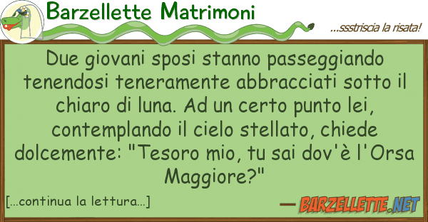 Barzellette Matrimoni due giovani sposi stanno passeggiando te