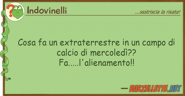 Indovinelli cosa fa extraterrestre campo