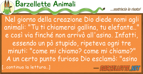 Barzellette Animali giorno creazione dio diede nom