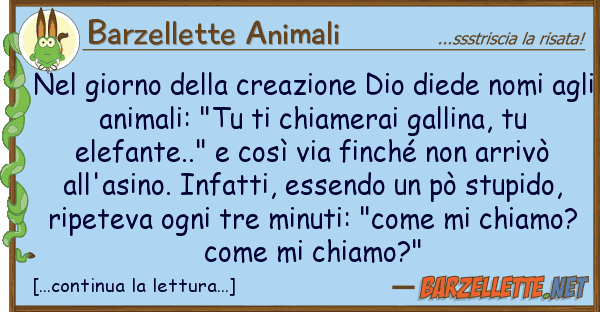 Barzellette Animali giorno creazione dio diede nom