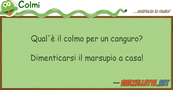 Colmi qual'è colmo canguro? dimen