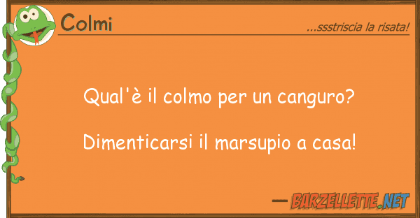 Colmi qual'è colmo canguro? dimen