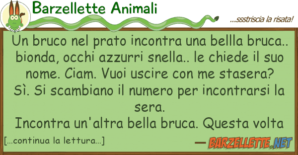 Barzellette Animali bruco prato incontra bellla