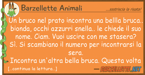 Barzellette Animali bruco prato incontra bellla