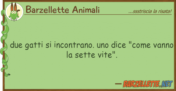 Barzellette Animali due gatti incontrano. dice "come