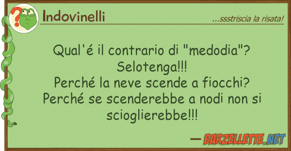 Indovinelli qual'é contrario "medodia"? selo