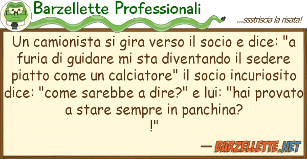 Barzellette Professionali camionista gira verso socio d
