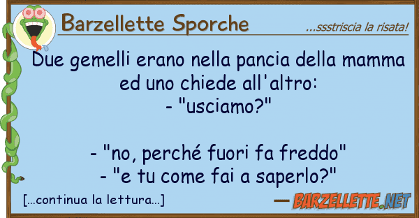 Barzellette Sporche due gemelli erano pancia mam