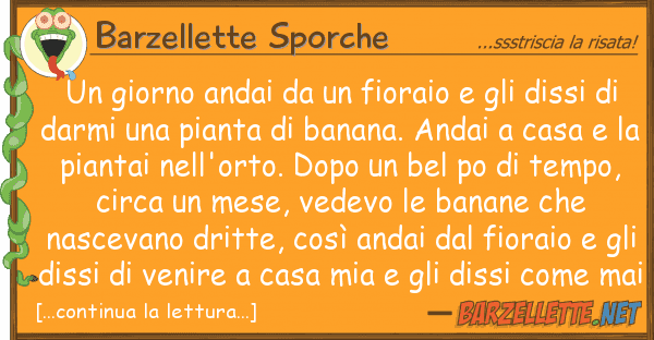Barzellette Sporche giorno andai fioraio diss