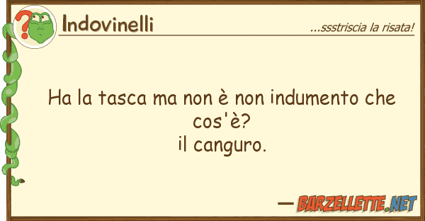 Indovinelli ha tasca è indumento