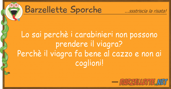 Barzellette Sporche sai perchè carabinieri possono