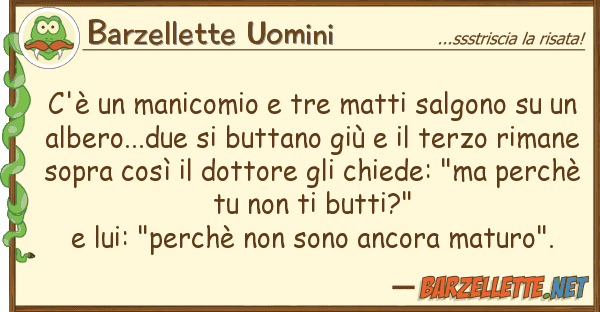 Barzellette Uomini c'è manicomio tre matti salgono