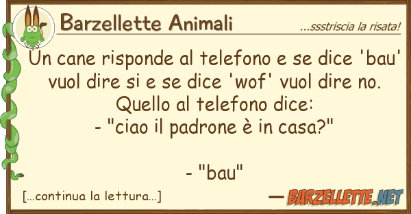 Barzellette Animali cane risponde telefono dice '