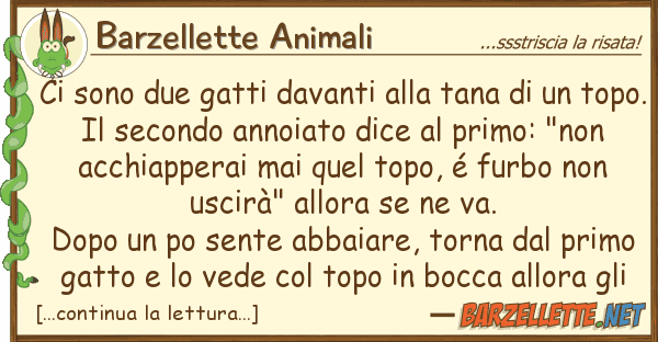 Barzellette Animali sono due gatti davanti tana u