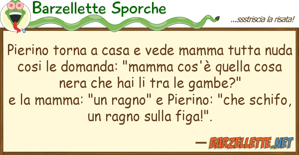 Barzellette Sporche pierino torna casa vede mamma tutta