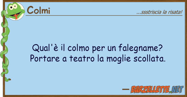 Colmi qual'è colmo falegname? port