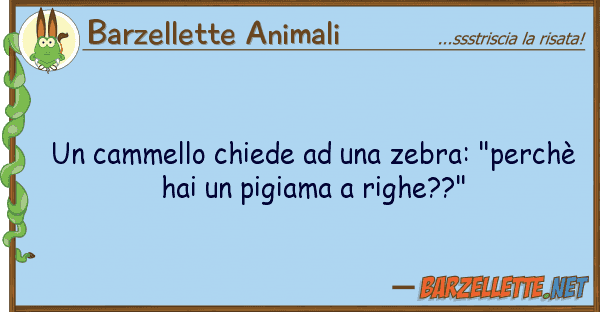 Barzellette Animali cammello chiede zebra: "perch?