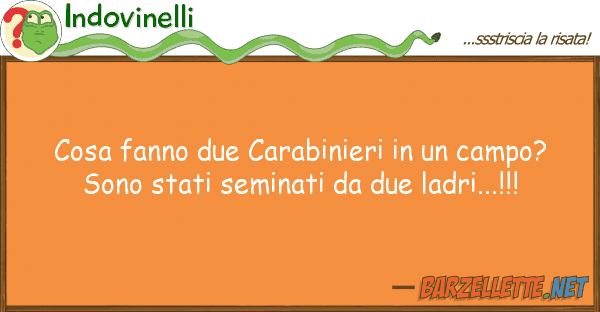 Indovinelli cosa fanno due carabinieri campo?