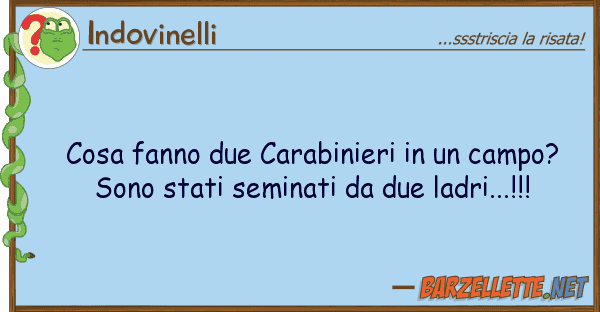 Indovinelli cosa fanno due carabinieri campo?