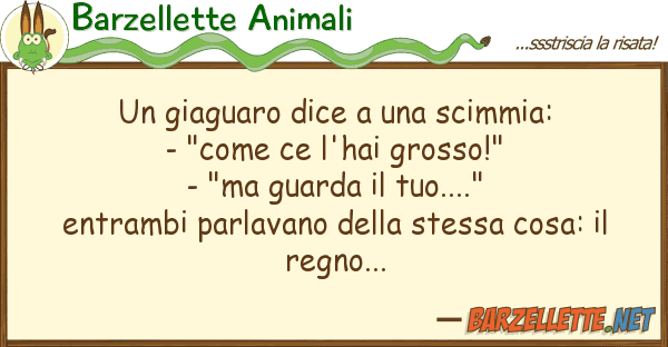 Barzellette Animali giaguaro dice scimmia: - "come