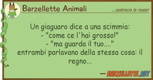 Barzellette Animali giaguaro dice scimmia: - "come