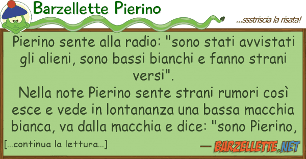 Barzellette Pierino pierino sente radio: "sono stati av
