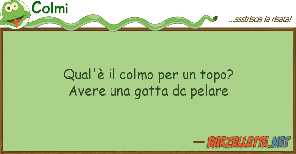Colmi qual'è colmo topo? avere