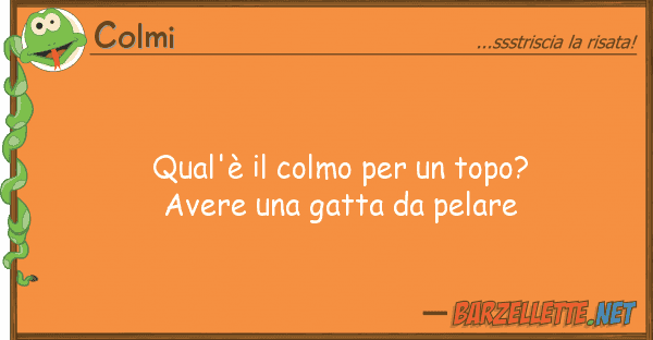 Colmi qual'è colmo topo? avere