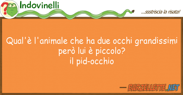 Indovinelli qual'è l'animale ha due occhi grand