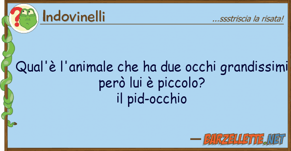 Indovinelli qual'è l'animale ha due occhi grand