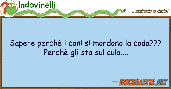 Indovinelli sapete perchè cani mordono coda