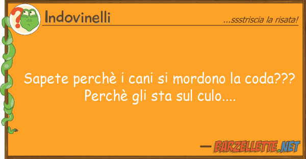 Indovinelli sapete perchè cani mordono coda