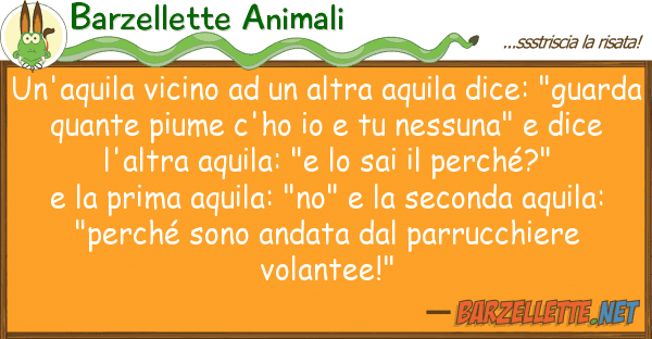 Barzellette Animali un'aquila vicino altra aquila dice