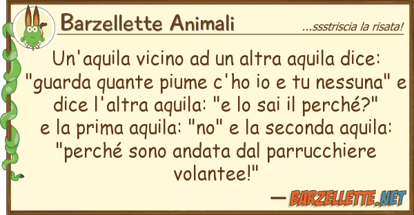 Barzellette Animali un'aquila vicino altra aquila dice