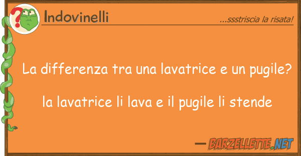 Indovinelli differenza lavatrice pug