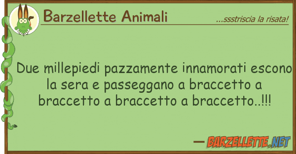 Barzellette Animali due millepiedi pazzamente innamorati esc