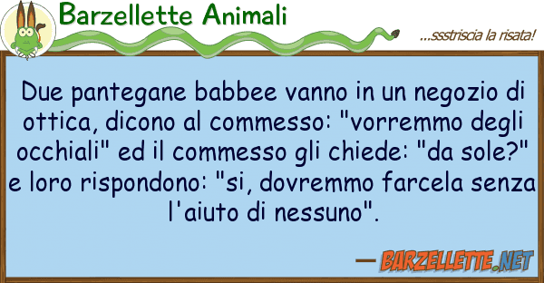 Barzellette Animali due pantegane babbee vanno negozio
